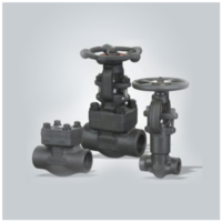 Small-Caliber Forged Steel Valve